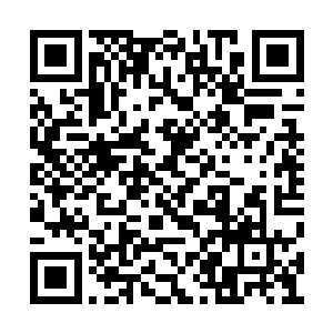 你以为利用仙宝隐匿自己的身形就能够躲过此劫二维码生成