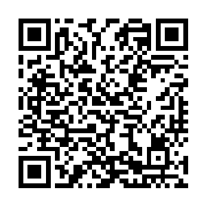 你以为加入王者之脉真就和表面上所看到的那么简单吗二维码生成