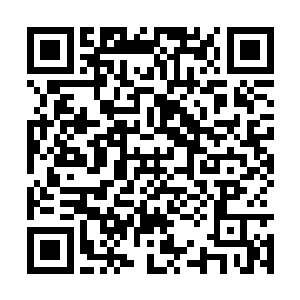 你以为只要天灵根的修士修炼的速度都会这么快吗二维码生成