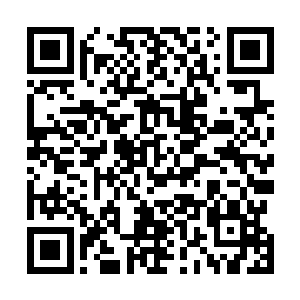 你以为就你这样没有阿父阿母的小崽子到哪里能活的下去二维码生成