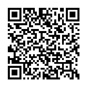 你以为我不想安安心心地统治华东的地下世界吗二维码生成