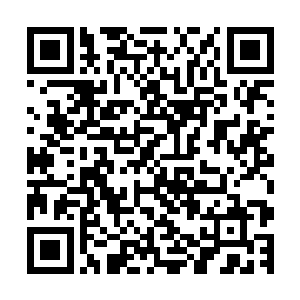 你以为我不知道你那些挂在你老婆名下的房产和股票是哪里的二维码生成