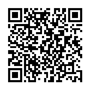 你以为我为你的人配备了足足十个人的医疗团队是白给的吗二维码生成