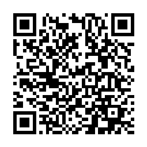 你以为我会愿意你分得那些不知道有多可贵的修炼宝物吗二维码生成