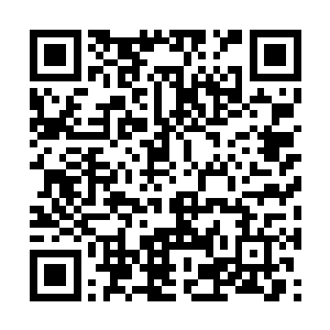 你以为手底下一帮人就是真的对你忠心耿耿的私军二维码生成