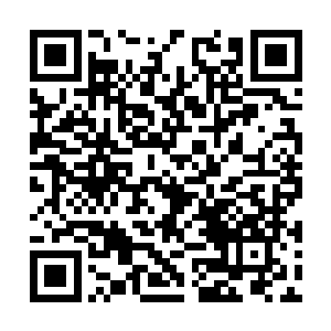 你以为拿一把玄阶下品的垃圾就能够换回这面镜子二维码生成