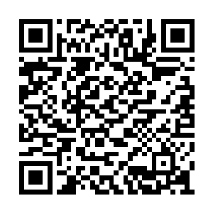 你以为每年我们长舟部落的船队出行是去干什么二维码生成