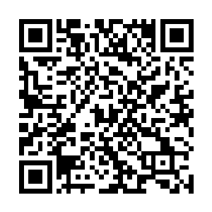 你以为琅琊阁随便哪个龙族进去就可以得到高级功法吗二维码生成