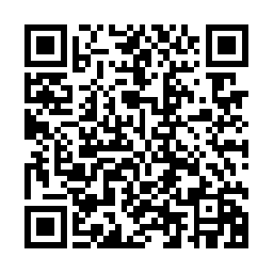 你以为跟在你身边的那些败类就能够起到什么特殊的作用不成二维码生成