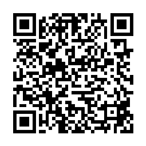 你以为躲藏在乌龟壳子里老子就拿你没办法了吗二维码生成