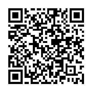 你以为那些凡人能上哪儿去弄那么多魔力金属补上二维码生成