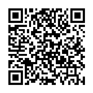 你以为金宗主对你搜神没有搜出证据就会没事儿了吗二维码生成