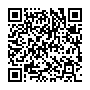 你以为除了阵法还有小金之外我就没有别的杀手锏二维码生成