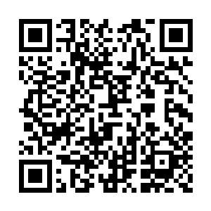 你以为靠你这半壶水的言出法随就可以阻挡住我二维码生成