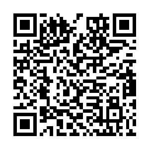 你以为领导让我兼任政法委书记是觉得我收入低了二维码生成