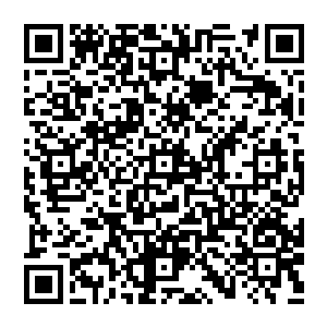 你们一个肥头肥脑包子脸一个又长又扁冬瓜头就不要学人家扮可爱好不好你们知不知道你们这样一点都不可爱二维码生成