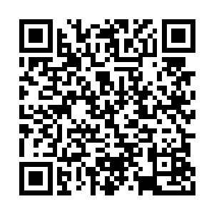 你们七个不是说不开启大传送就永远都不出来吗二维码生成
