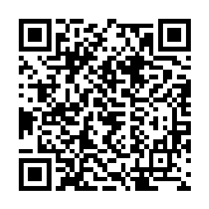 你们三个想要插手我三十六洞天福地和萧家的事情二维码生成