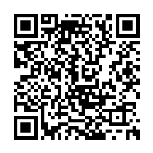 你们不会打算准备就这样一直用奇怪的目光看我二维码生成