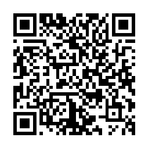 你们不否认在击杀这个巨虫我们上元大陆起了决定性的作用吧二维码生成