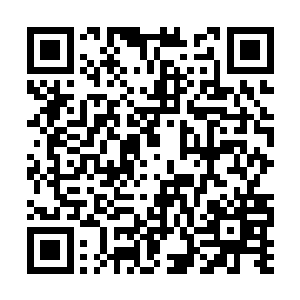 你们不就是害怕你们曾经听到的那个谣言会应验吗二维码生成