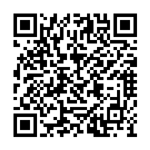 你们不要把去不去海岛和忠不忠于云家联系起来二维码生成