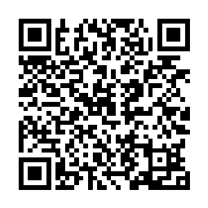 你们且把这三部妖修和四岛散修的具体情况跟我详细说说二维码生成