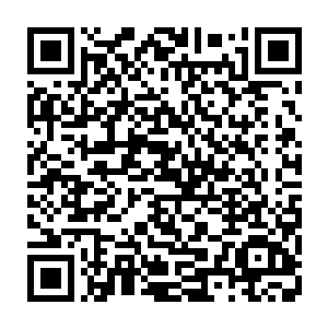你们主要帮助我收购那些便宜的低级魔晶和一阶二阶三阶四阶魔核就行了二维码生成