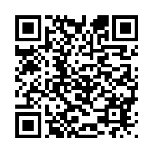 你们也不会在来购买我们的授权了二维码生成