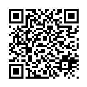 你们也不要为了我这不孝子说什么了二维码生成