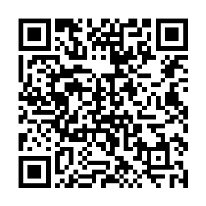 你们也不过就是些一念之间便可化为乌有的生命罢了二维码生成