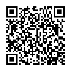 你们也应该知道我并不是许家那一支多灵根家族中的弟子二维码生成