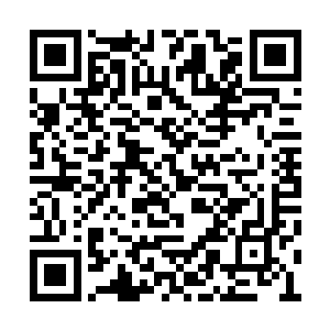 你们乾清门只是负责登记一下进入大须弥山的人二维码生成