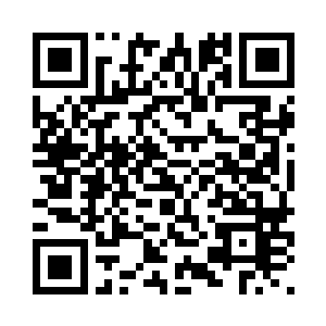 你们二个是我身边最得力的人手了二维码生成