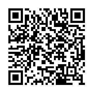 你们二老在家里好吃好喝舒舒服服的把日子过好二维码生成