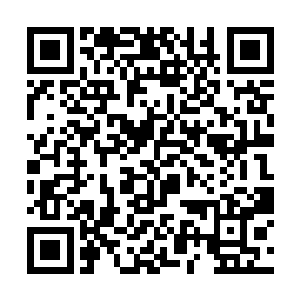 你们五个仙台再加四个紫府仗着人多过来找我的麻烦二维码生成