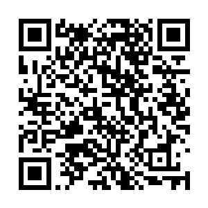 你们以为他们两个不出手那帮人就会放过你们了吗二维码生成