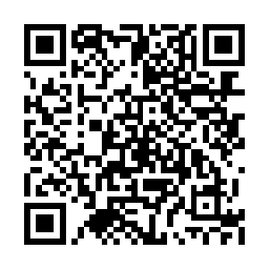 你们以为兵团就是把一群出色的武者拼凑起来吗二维码生成