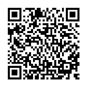 你们以为王妃只是给了王爷国公爷两只兔子和给皇上冲喜的恩情二维码生成