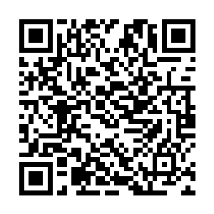 你们以为请了一个什么黑龙会的圣级武者就可以杀掉我二维码生成