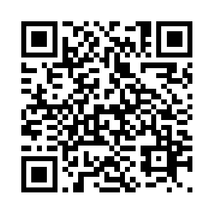 你们会为今天所犯下的罪行付出代价二维码生成