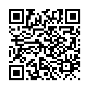 你们会为你们的愚蠢付出惨重的代价二维码生成