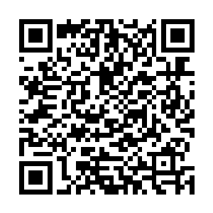 你们俩不知道那几个该死的家伙将本帝逼到什么份上了吗二维码生成