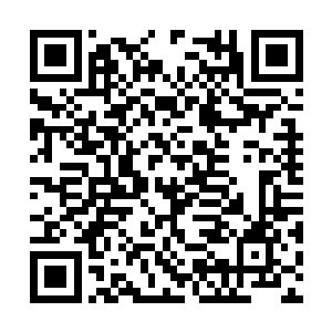 你们倪家至少有一半的机会能够夺取猎海城主之位二维码生成