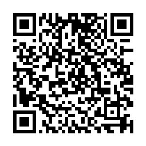 你们公会拥有白银徽章的成员死在了我们魔法塔手里二维码生成
