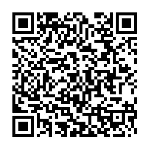 你们几个主要角色今天晚上就要开始进行主要场景的系统性排练了二维码生成