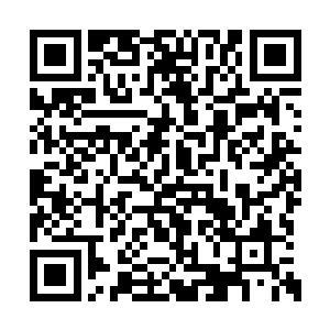 你们到温哥华拍还不如就把故事背景改为温哥华二维码生成