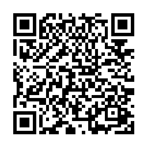 你们却跑来逼迫九叔把李蕊妹妹嫁给李瑞那个垃圾二维码生成