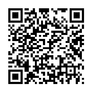 你们又怎么可能冲出拳神殿祭司雷烈率领的截杀队伍二维码生成