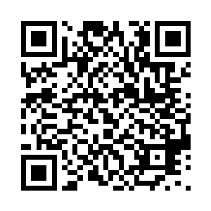 你们叔父在亲身教育你们何为推卸责任二维码生成